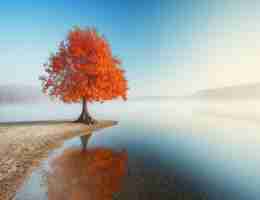 免‌费‌Docker服‌务‌